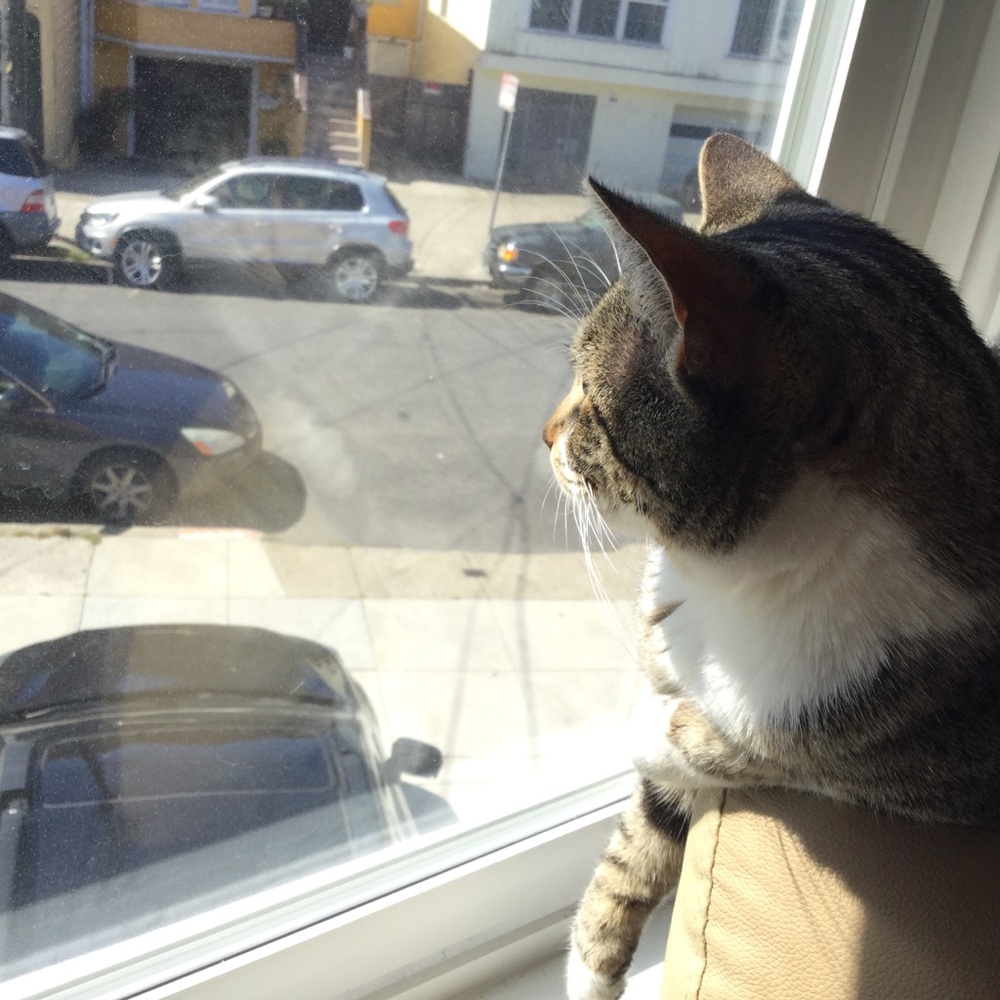 Meet your Posher, Kathy